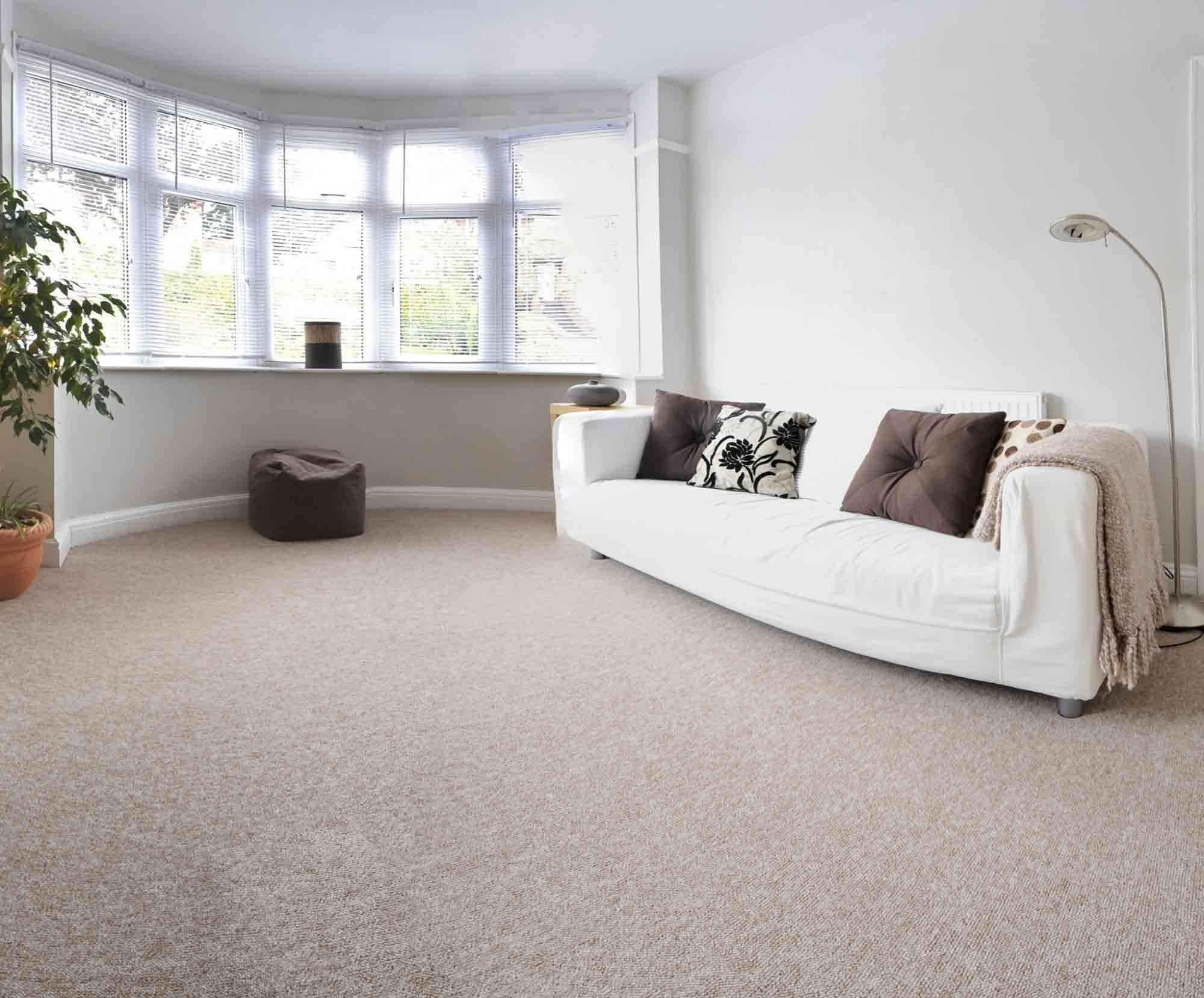 Dry carpet cleaning in Richmond On Thames West & South West London