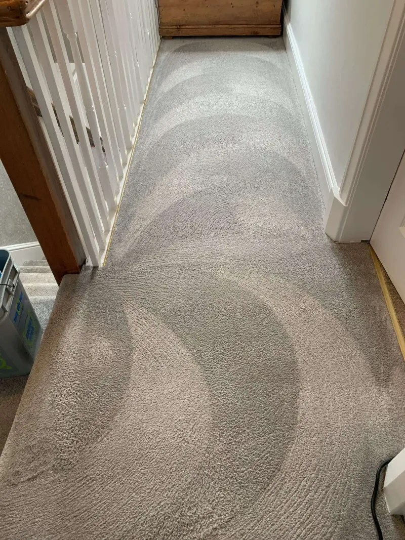 Stair carpet cleaning in a home
