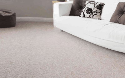 How Often Should You Schedule Dry Carpet Cleaning in Your Home or Office?